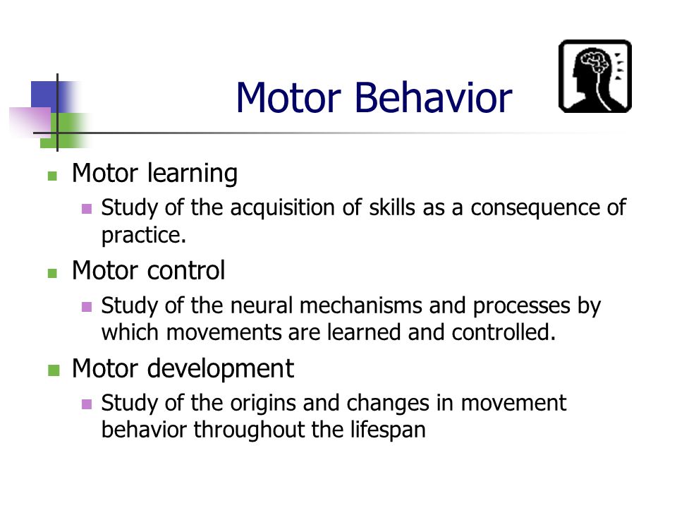 sport motor behavior