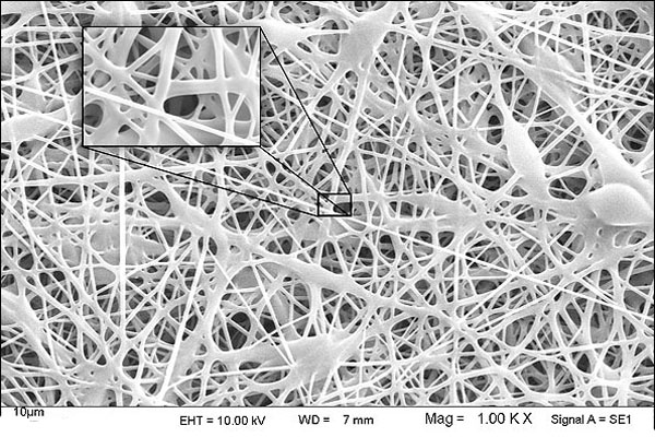 tissue engineering scaffold top materials