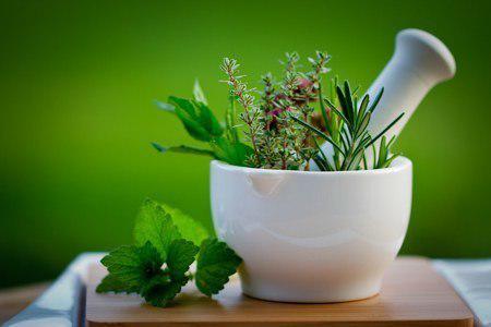 Production of substances and extracts of medicinal plants