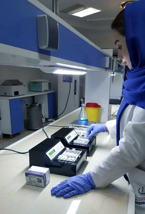 molecular biology service from gene to protein and beyond