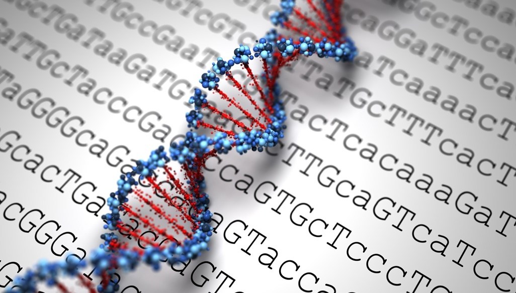 Genetics Services with the Most Experienced Staff 1 dna codes