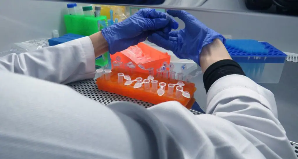 molecular biology service from gene to protein and beyond