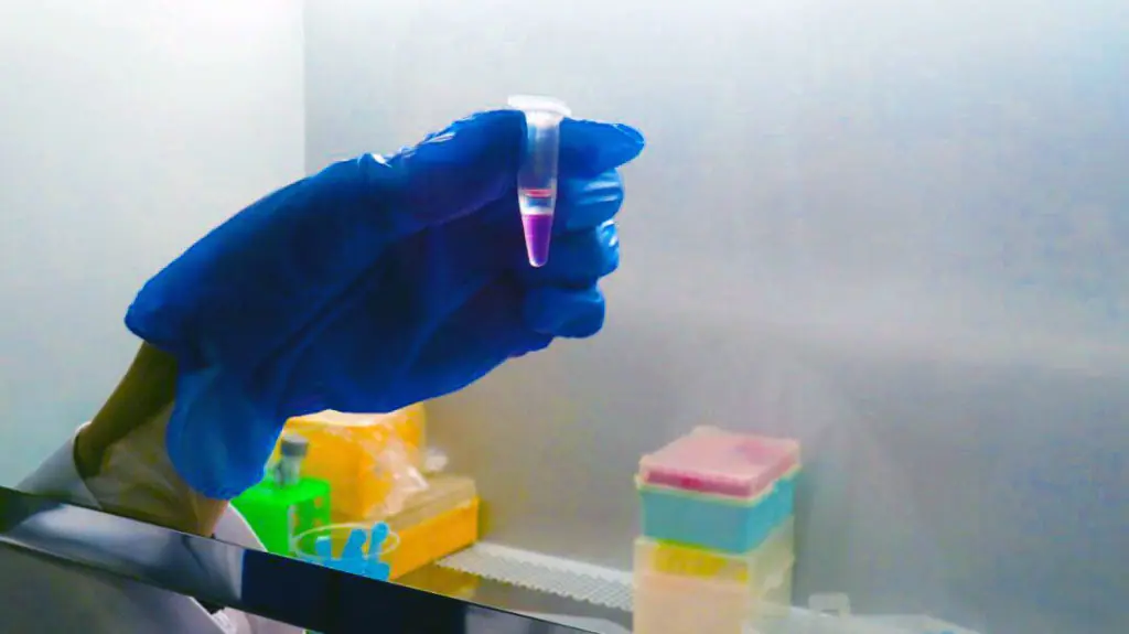 molecular biology service from gene to protein and beyond