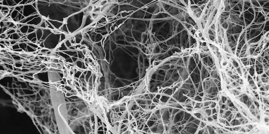 production of Tissue engineering scaffolds