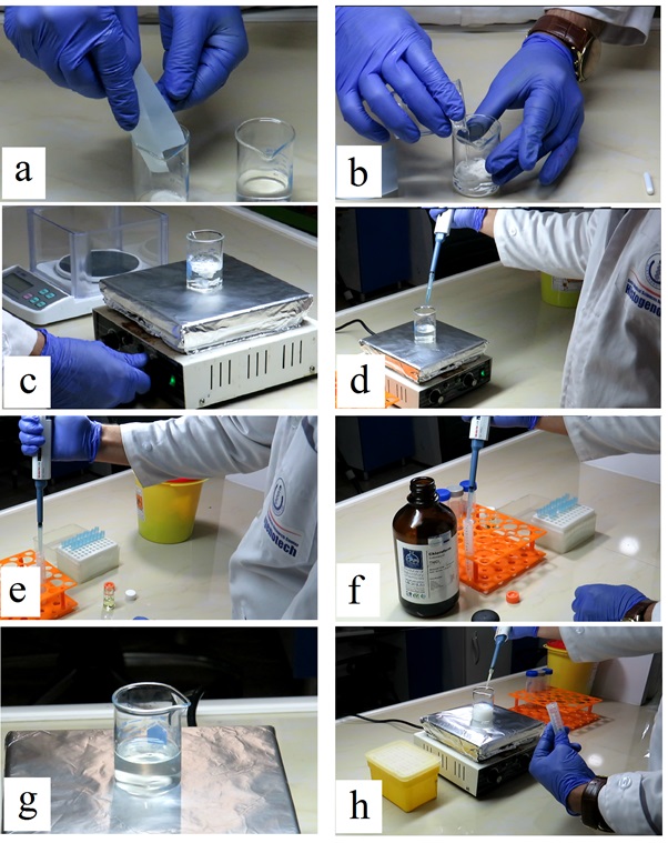 Production of nanoparticles carrying plant extracts