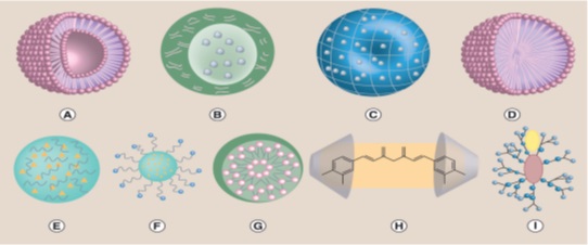 Application of turmeric in nanobiotechnology