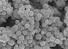 Ag nanoparticles