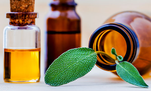 Plant extractions and essential oils