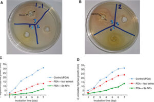 ارزیابی فعالیت های ضد میکروبی نانوذرات سلنیوم