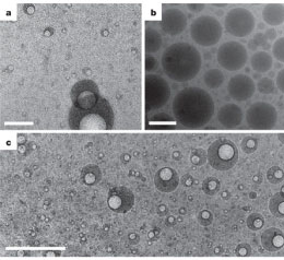 nanoparticle-synthesis 147 سنتز نانوامولسیون