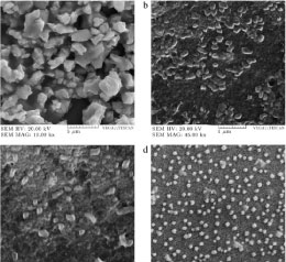 nanoparticle-synthesis 144 سنتز نانوذرات آلژینات