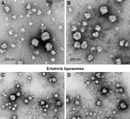 nanoparticle-synthesis 145 سنتز نانوذرات لیپوزوم