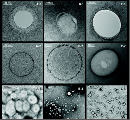 nanoparticle-synthesis 143 سنتز نانوذرات پلیمری