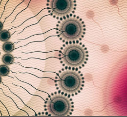 nanoparticle-synthesis 148 سنتز نانومیسل