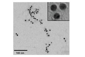 میکروب های مهندسی شده نانوذرات نقرهr