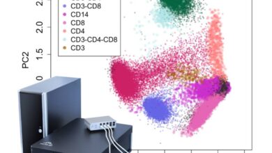 Genetic 28 Multispectral Flow Cytometry Pulse Shape Analysis