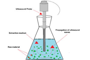 ultrasonic extraction