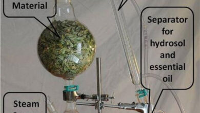 Plant Extraction 28 اسانس های گیاهی 4