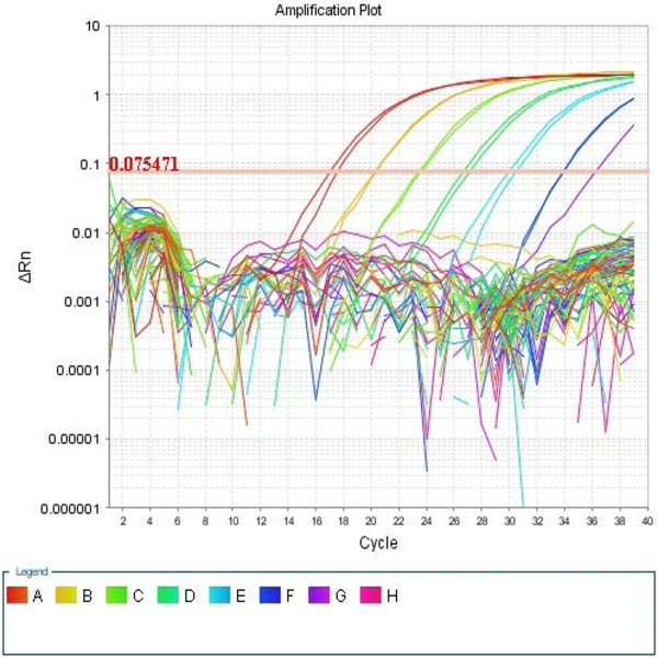 Molecular 103 RNA