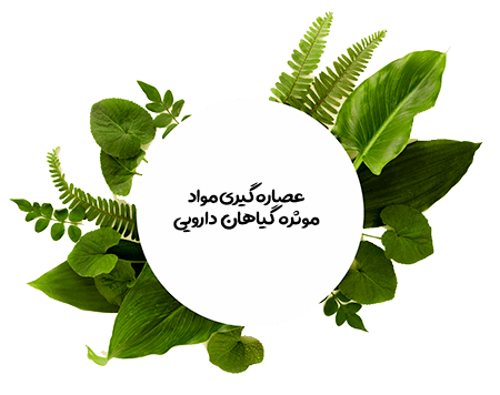 Theses 25 انتخاب عنوان پایان نامه در زمینه گیاهان دارویی و عصاره گیری
