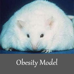 obesity model 1